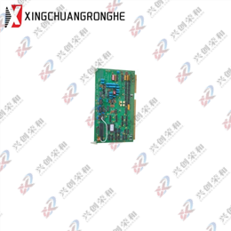 802A028D-3 ChromoLoop Rack Mount Control Card