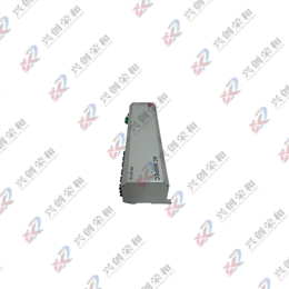 ABB PPD113B01-25-111000 