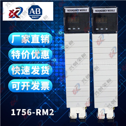 1336-MOD-RP1