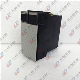 1336F-BRF100-AN-EN4