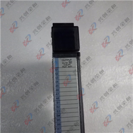 IC200CBL600(线）