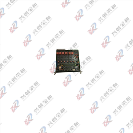ABB 216EA61B Analogue Input Unit
