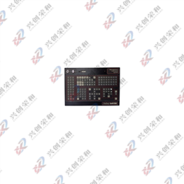 BAILEY 6637517A1 Module for INFI 90 System