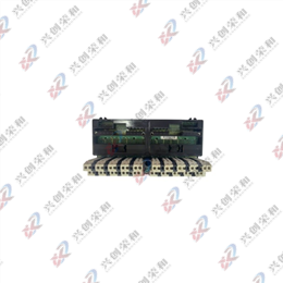 GE IC670CHS002 VersaMax I/O Block Carrier Plate