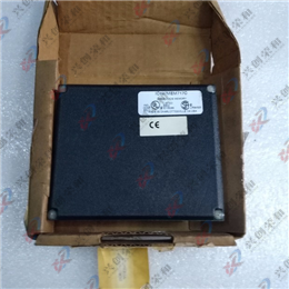 489-P5-LO-A20