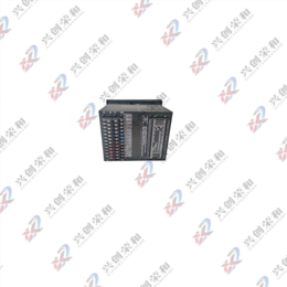 GE Multilin 489-P5-LO-A20 