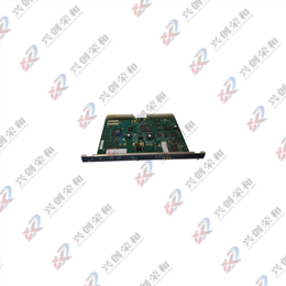 GE Fanuc IC698RMX016-ED 