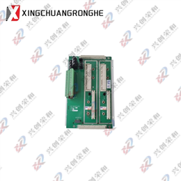 TRICONEX 2401 Replacement Digital Output Baseplate