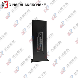 TRICONEX PS8310 24V DC Safety Power Module