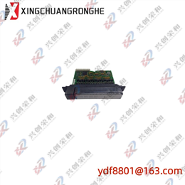 FOXBORO P0916AC FBM202 Thermocouple mV Input Module